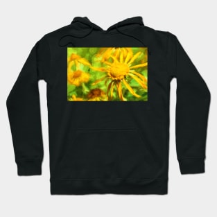 Always Look On The Bright Side Hoodie